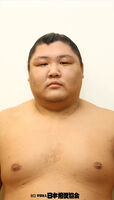 Tochihiryu Yukiya - 2013 (Retrieved from the JSA)