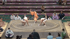 Uehara's Fighting Style