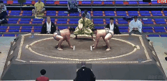 Daikosho's Fighting Style