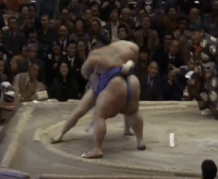 Sakahoko's Fighting Style
