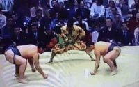 Iwatefuji's Fighting Style