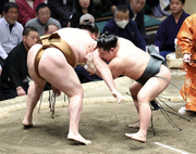 MidorifujiRyuden2024