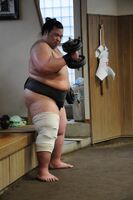 Mitoyutaka trains in Nishikido stable (c. 2015)