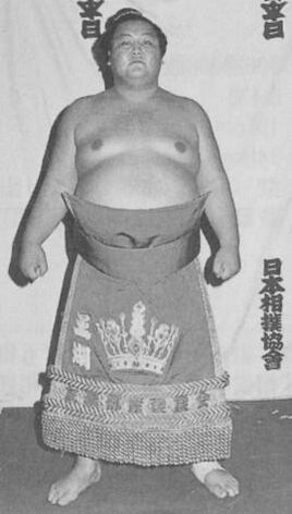 Oko-main2