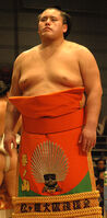 Harunoyama during the makuuchi dohyo-iri