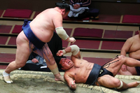 Ikioi throws and defeats Shohozan (c. 2021)