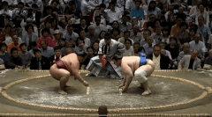 Mitakeumi Fighting Style