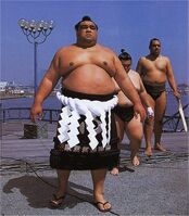 Minaminoshima behind stablemate Yokozuna Musashimaru (c. 2002)