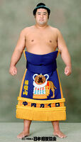 Tochiozan Yuichiro - 2012 (Retrieved from the JSA)