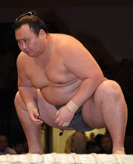 Kihonoumi-main