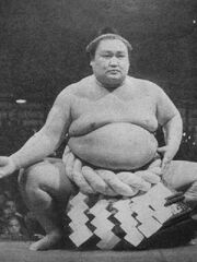 TerukuniDohyoiri