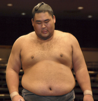 Wakarikido prepares for his upcoming match (c. 2007)