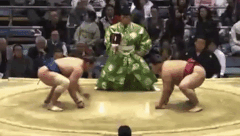 Daikiho Fighting Style