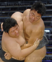 Masumeidai battles his opponent in Maezumo (c. 2006)