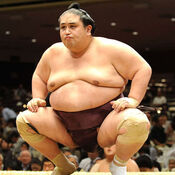 Miyabiyama (c. 2012)