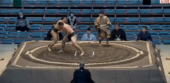 Agora's Fighting Style