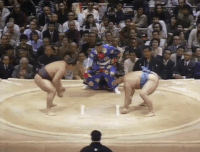 Kotonishiki's Fighting Style