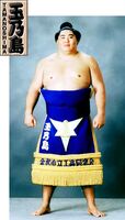 Tamanoshima Arata - 2004 (Retrieved from the JSA)