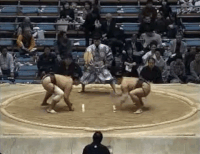 Daishoma's Fighting Style