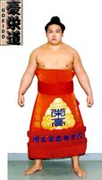 Goeido Gotaro - 2007 (Retrieved from the Nihon Sumo Kyokai)