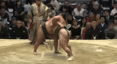 Kagamio's Fighting Style 2