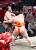 Mitoryu defeats Aminishiki (c. 2019)