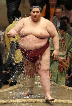 Sumo Wrestling, Yamamotoyama Ryūta a.k.a. Yama. He is the h…