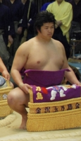 Tamadaiki during his time in Maezumo (c. 2007)