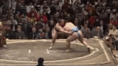 Tokusegawa's Fighting Style
