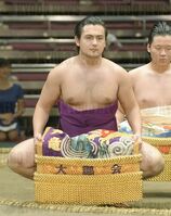 Tsuyukusa during his time in Maezumo (c. 2016)
