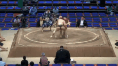 Hokudozan's Fighting Style