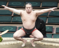 Kurohimeyama prepares for his upcoming match (c. 2023)