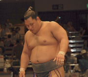 Matsutani2007