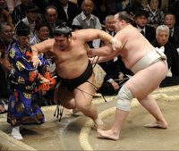 Wakakoyu gets knocked into a gyoji (c. 2012)