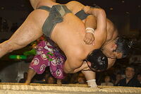 Minaminoshima throws and defeats his opponent (c. 2005)