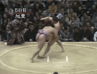 Asahiyutaka's Fighting Style