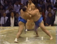Takamisugi's Fighting Style