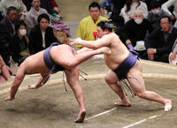 Hiradoumi defeats Ozeki Hoshoryu (c. 2025)