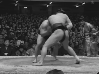 Tochioyama's Fighting Style