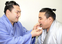 Shobushi with stablemate and friend Ryuden (c. 2017)
