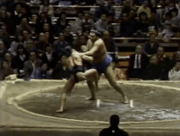 Tachihikari's Fighting Style