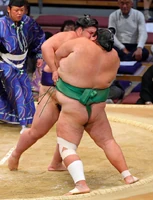 Asabenkei3.png (853 KB) Asabenkei defeats Tokushindo (c. 2015)