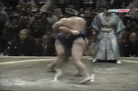 Hayateumi's Fighting Style