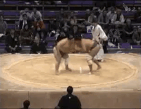 Kaishoryu's Fighting Style
