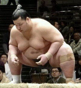 Mitoyutaka-main2