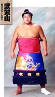Musoyama Masashi | Sumowrestling Wiki | Fandom