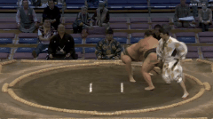 Nishinoryu's Fighting Style 2