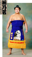 Tochinowaka Michihiro - 2012 (Retrieved from the JSA)