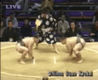 Wakatoryu's Fighting Style