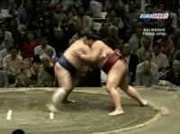 Kotomitsuki's Fighting Style